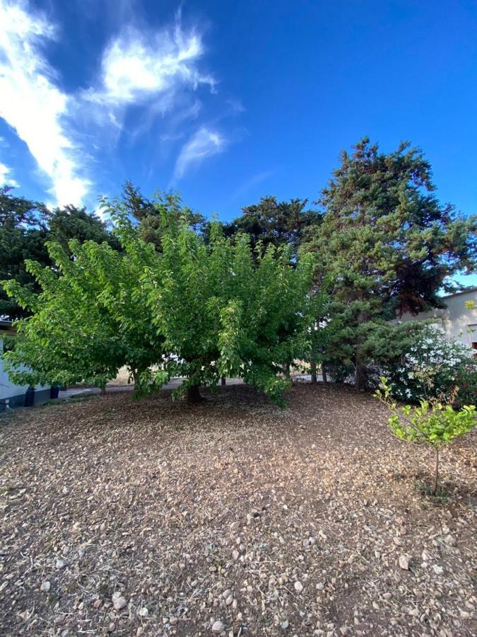 La Casa Del Gelso Appartement Tonnara di Bonagia Buitenkant foto