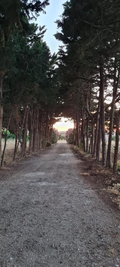 La Casa Del Gelso Appartement Tonnara di Bonagia Buitenkant foto