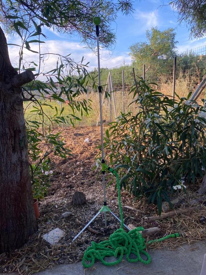 La Casa Del Gelso Appartement Tonnara di Bonagia Buitenkant foto