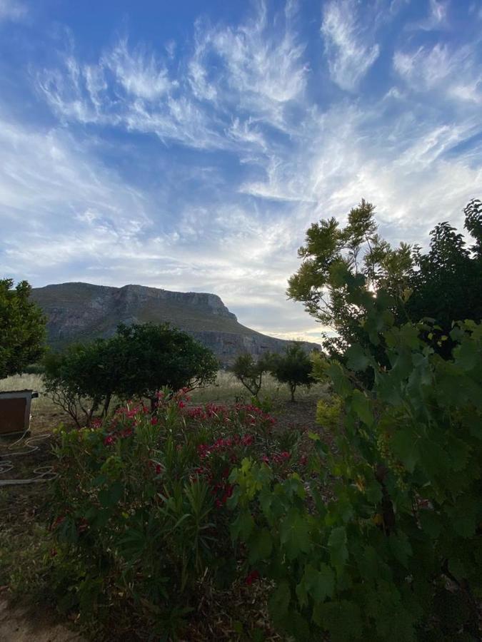 La Casa Del Gelso Appartement Tonnara di Bonagia Buitenkant foto