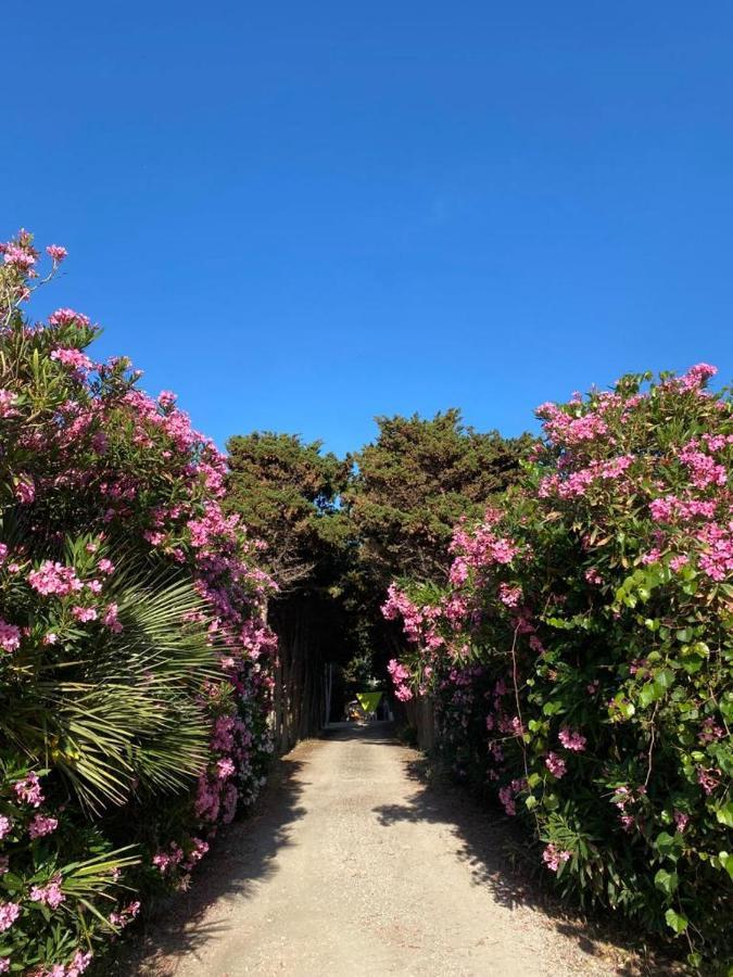 La Casa Del Gelso Appartement Tonnara di Bonagia Buitenkant foto